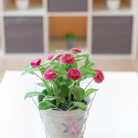 Saturraran - Baskeyrentals Apartamento *