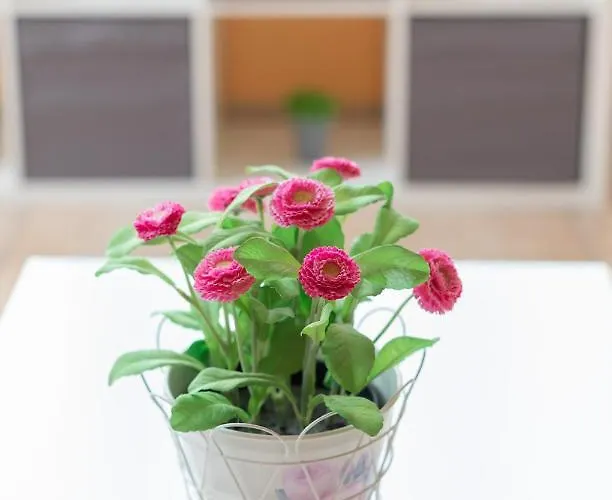 Saturraran - Baskeyrentals Apartment *