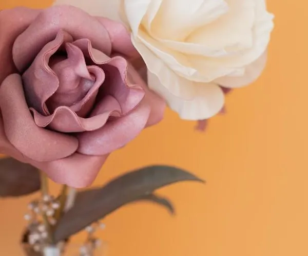 Saturraran - Baskeyrentals Mutriku